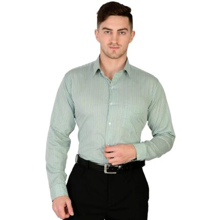 Swaz Men Slim Fit Formal Checked Green White Shirt